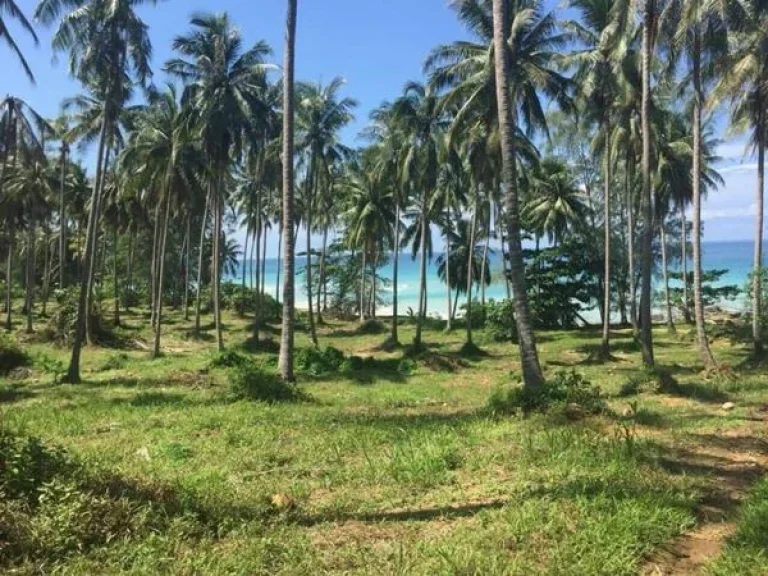 ขายที่ดินเกาะกูด จตราด 9 ไร่ ติดริมหาดบนเกาะกูด