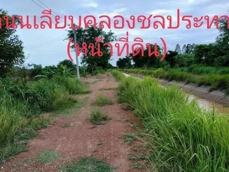 ขายที่ดิน8ไร่อำเภอเมืองจังหวัดนครนายกโฉนด นส4จ ใกล้ศูนย์การเรียนรู้ภูกะเหรี่ยง