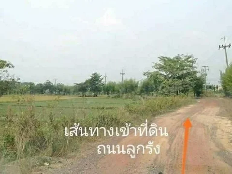 ขายที่ดิน8ไร่อำเภอเมืองจังหวัดนครนายกโฉนด นส4จ ใกล้ศูนย์การเรียนรู้ภูกะเหรี่ยง