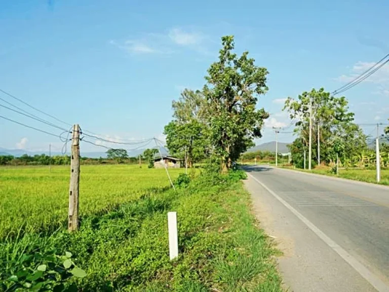 ขายที่นา ตำบลบวกค้าง อำเภอสันกำแพง เชียงใหม่ ใกล้ถนนสันกำแพงสายใหม่ หน้าที่ดินติดถนนกว่า 200 เมตร