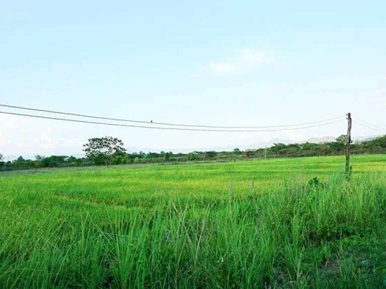 ขายที่นา ตำบลบวกค้าง อำเภอสันกำแพง เชียงใหม่ ใกล้ถนนสันกำแพงสายใหม่ หน้าที่ดินติดถนนกว่า 200 เมตร