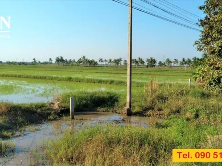 ขายด่วน ที่ดิน ทำเลดีมาก ในอำเภอบางน้ำเปรี้ยว 4 ไร่ เป็นที่นา ติดถนนลาดยาง ไฟฟ้าเข้าถึง มีโฉนด ใกล้แหล่งชุมชนและสถานที่ราชการ