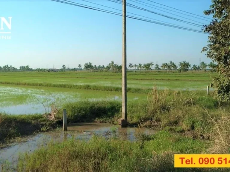 ขายด่วน ที่ดิน ทำเลดีมาก ในอำเภอบางน้ำเปรี้ยว 4 ไร่ เป็นที่นา ติดถนนลาดยาง ไฟฟ้าเข้าถึง มีโฉนด ใกล้แหล่งชุมชนและสถานที่ราชการ