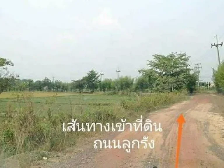 ขายที่ดิน8ไร่อำเภอเมืองจังหวัดนครนายกโฉนด นส4จ ขายราคาต้นทุนวิวเขา ใกล้วัดป่าศรีถาวรนิมิต ใกล้ศูนย์การเรียนรู้ภูกะเหรี่ยง