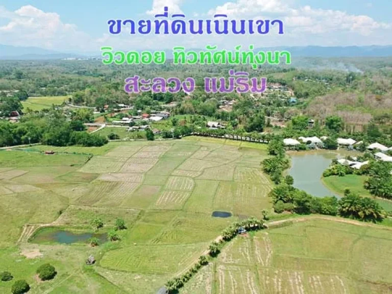 ขายที่ดินเนินเขา วิวดอย ทิวทัศน์ทุ่งนา ตำบลสะลวง อำเภอแม่ริม เชียงใหม่