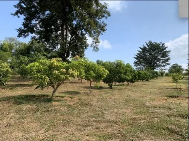 ที่ดินพร้อมสวน จเชียงราย ที่สวยทำเลดี เป็นพื้นที่ราบและเนินเขา ติดลำน้ำแม่กรณ์