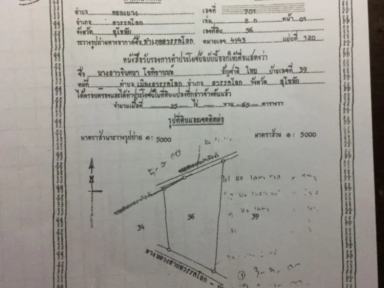 ขายที่ดิน 25 ไร่ ติดถนนสายสวรรคโลก-ศรีนคร