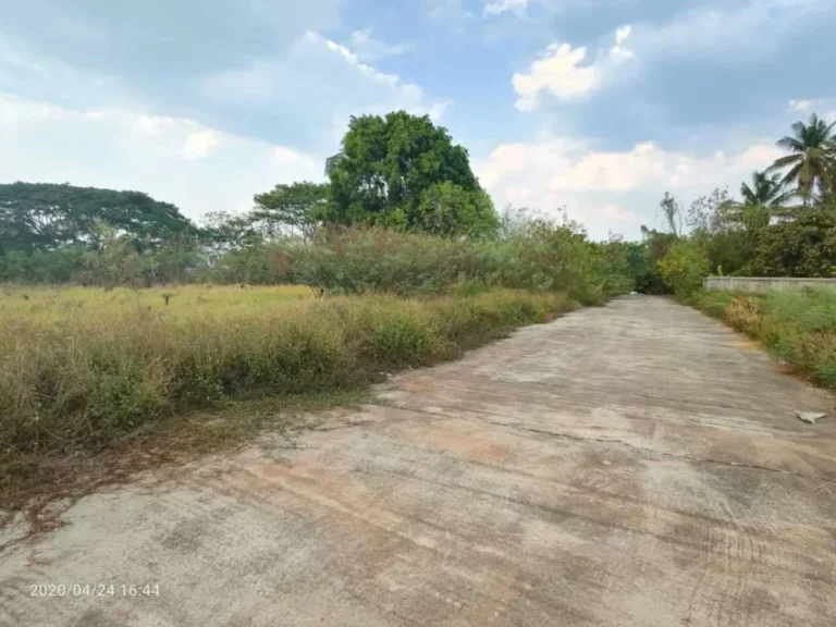 ขายที่ดินเขตสันทรายหลวง สันทราย ราคาถูก