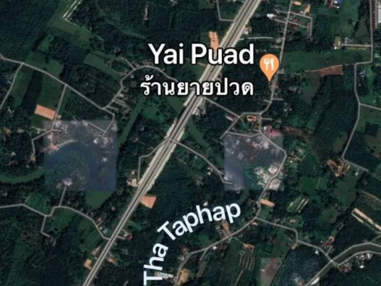 ขายที่ดินติดถนนหลัก ถนนสวยที่สุดในชุมพร