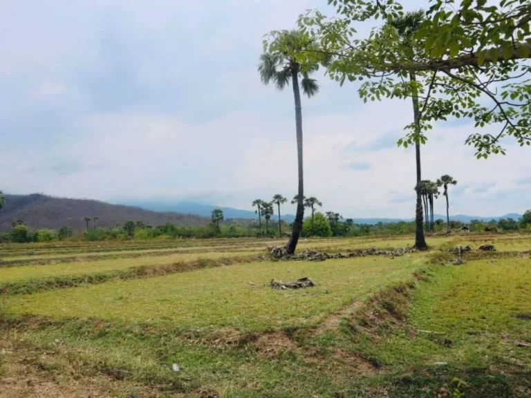 ขายที่ดินวิวดอย 180 องศา บ้านหลวง จอมทอง ราคาถูก