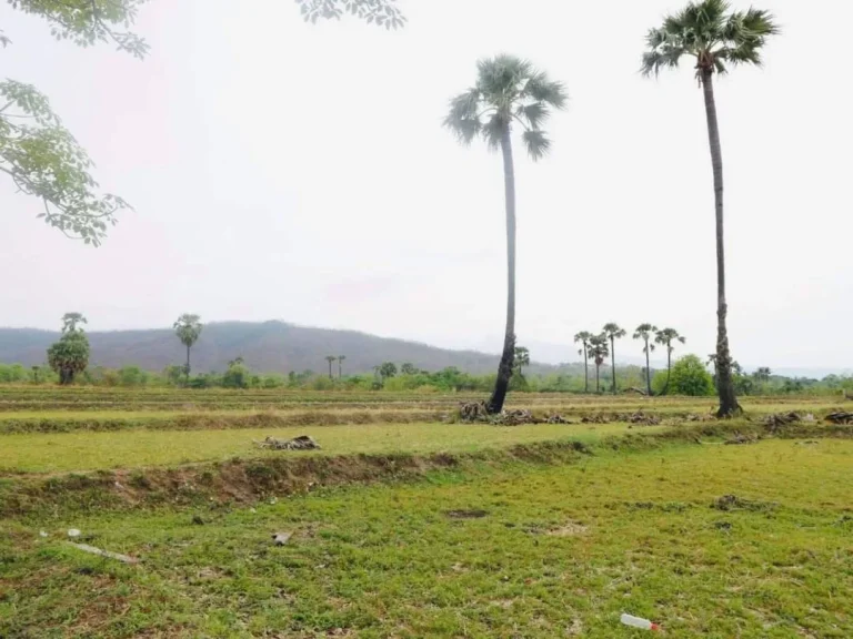 ขายที่ดินวิวดอย 180 องศา บ้านหลวง จอมทอง ราคาถูก