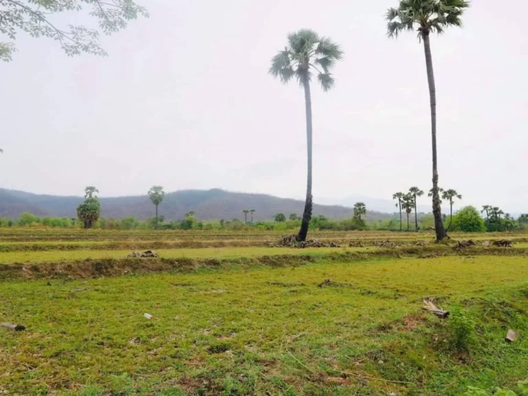 ขายที่ดินวิวดอย 180 องศา บ้านหลวง จอมทอง ราคาถูก