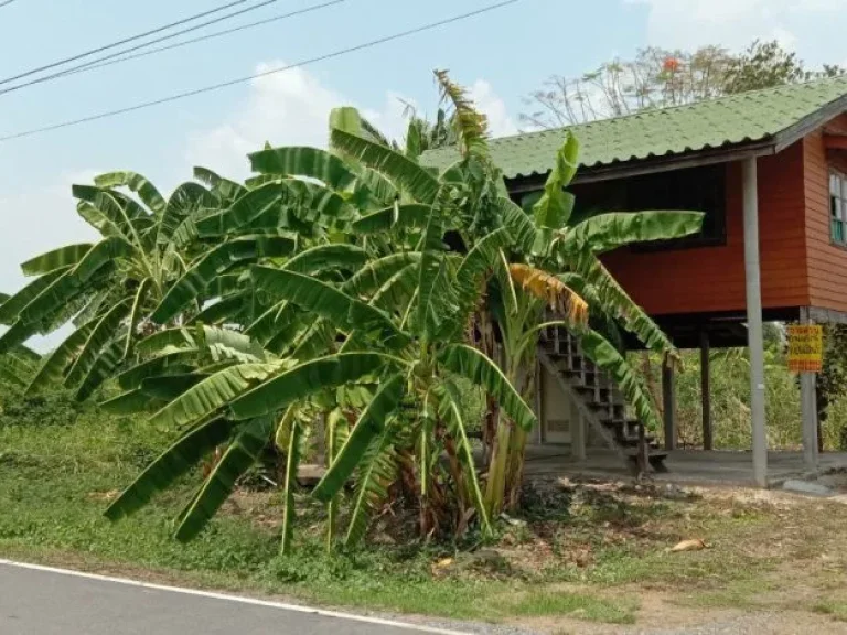 ขายด่วนบ้านสวนพร้อมที่ดิน