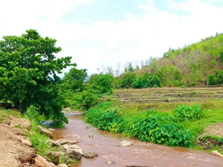 ขายที่สวนติดธารน้ำ ดอยสะเก็ต เอกสารสิทธิ์ ราคาถูก