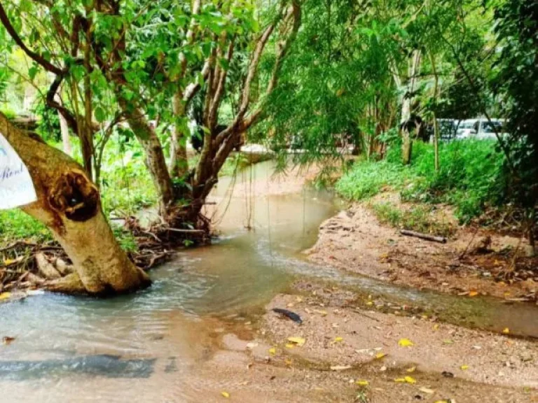 ขายที่ดินติดธารน้ำ วิวดอยใกล้พืชสวนโลก