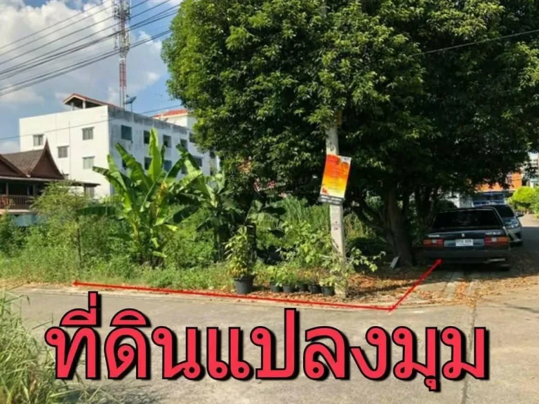 ขายที่ดินหมู่บ้านปิ่นเจริญ 97 ตรว แปลงมุม