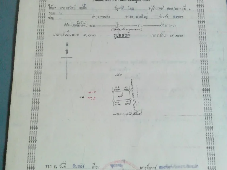 ขายที่ดินเปล่า 2 ห้อง 45 ตรว