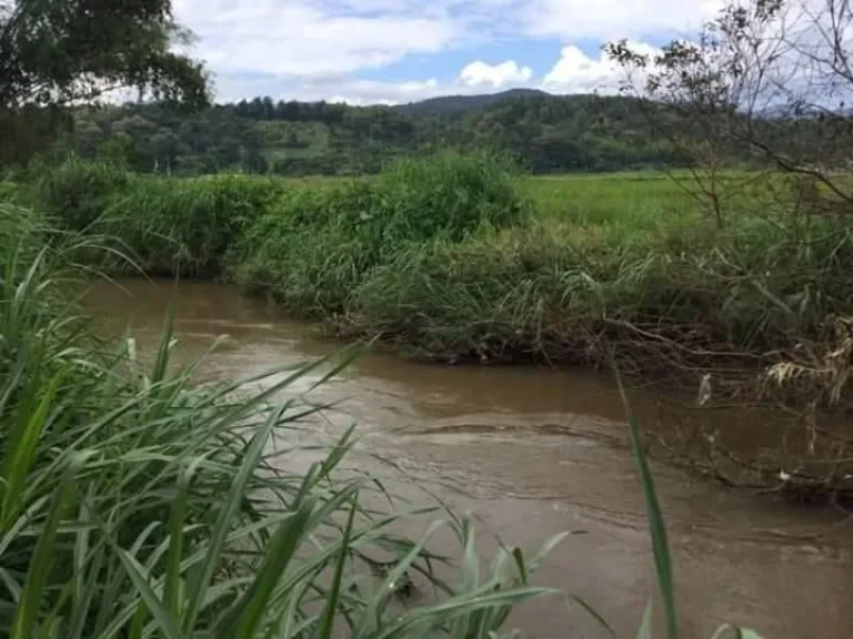 ขายที่ดินติดน้ำแม่ริม สะลวงแม่ริม เชียงใหม่