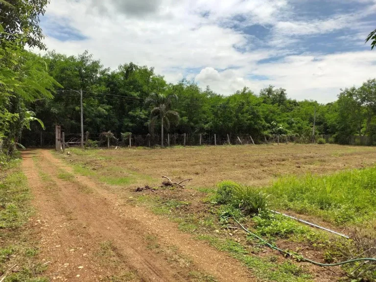 ขายที่ดิน 5 ไร่ มีบ้าน ถนนสาย1036 ตำบลชมพู เมืองลำปาง ใกล้สนามบินลำปาง