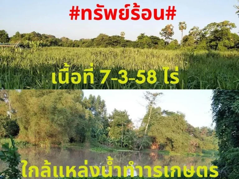 ทรัพย์ร้อนขายที่ดินทำการเกษตร 7-3-58 ไร่ ตห้วยงู อหันคา จชัยนาท จุดเด่นทรัพย์นี้ ทำเลดีติดถนนคมนาคมขนสะดวก