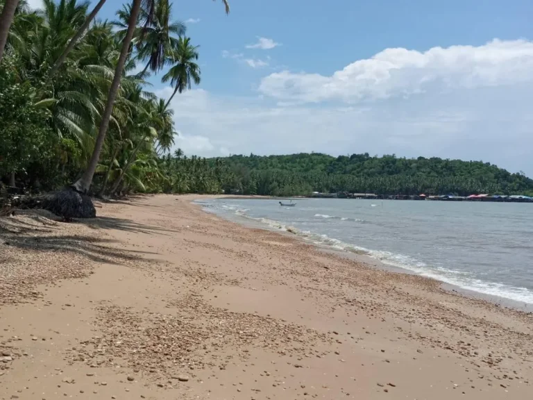 ขายที่ทะเลหาดส่วนตัว นส3ก เนื้อที่ 24 ไร่เศษ