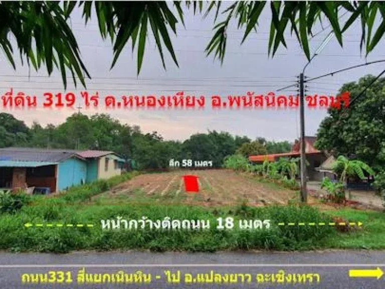 ขายที่ดิน 319 ตรว ติดถนน ทำเลค้าขายและที่อยู่อาศัย หนองเหียง พนัสนิคม ชลบุรี 0867811184