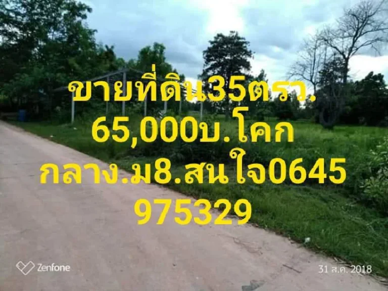 ลดประชดโควิดที่ดินหลังบึงประมาณ47ตรวคลิกอ่านรายละเอียดด้านใน