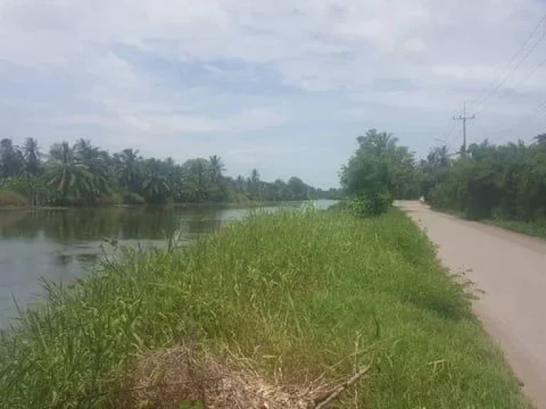 ขายที่ดิน10ไร่ติดคลองขุดใหม่ใกล้วัดประสาทสิทธิ์ บรรยากาศดี เหมาะสำหรับปลูกบ้าน ทำการการเกษตร