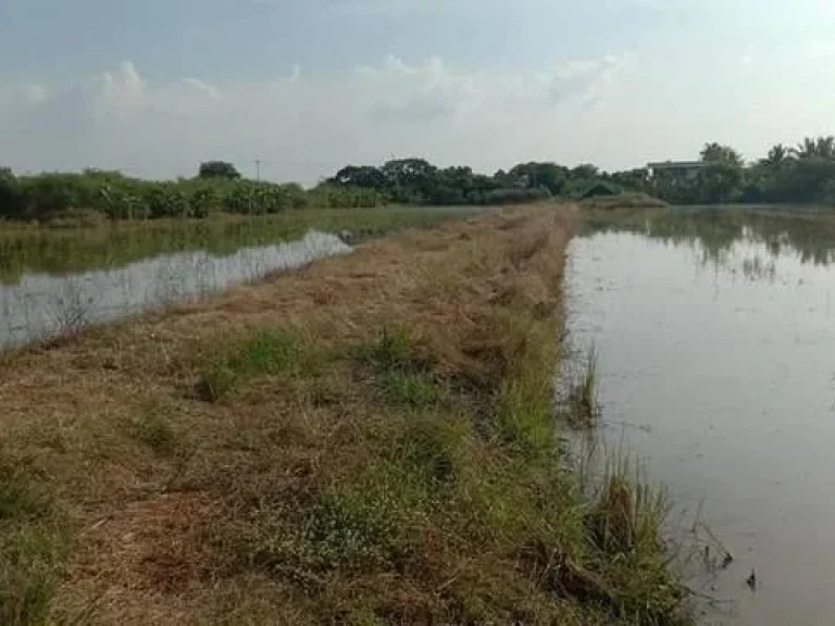 ที่ดินแปลงสวย ที่ดินตำบลบ่อเงิน ปทุมธานี