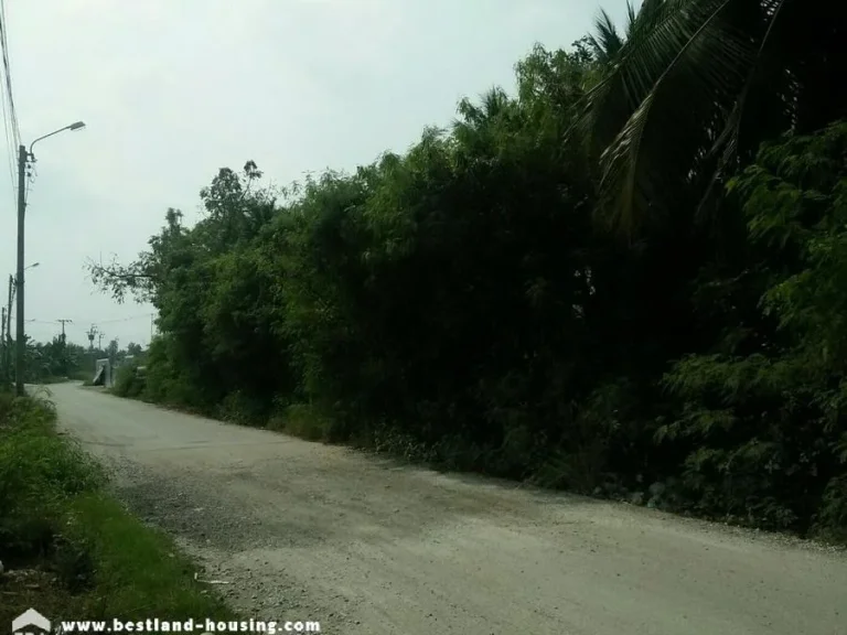 ที่ดินเปล่า 281 ตรว ซชื่นฤดี ถพาดวารี เมืองอุตรดิตถ์ จังหวัดอุตรดิตถ์