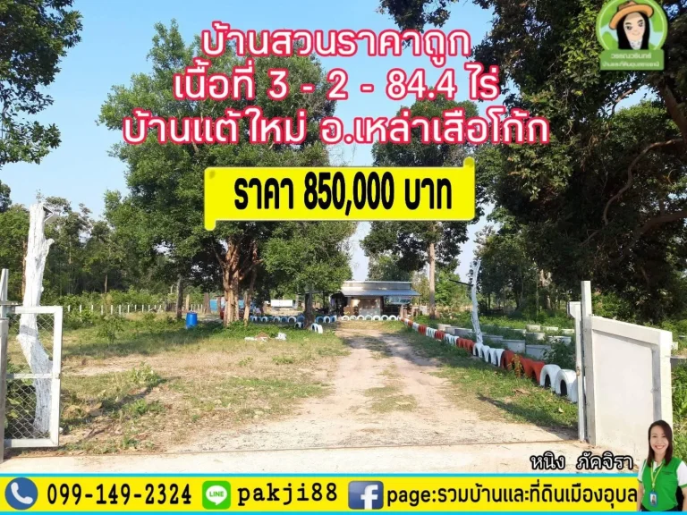 บ้านสวนเนื้อที่เกือบ 3 ไร่กว่า เพียง 850000 บาท อเหล่าเสือโก้กอุบลฯ