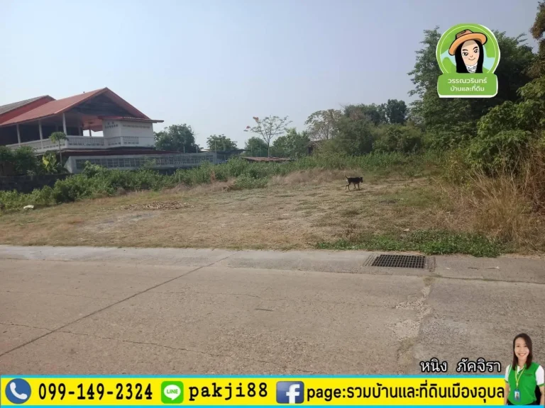 ที่ดินกลางเมืองเดชอุดม 1806 ตรว ราคา 27 ล้านบาท