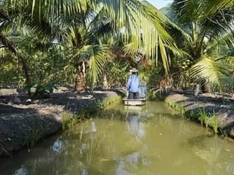 ขายที่ดินสวนมะพร้าวน้ำหอมและมะนาวพันธุ์ดี 10 ไร่