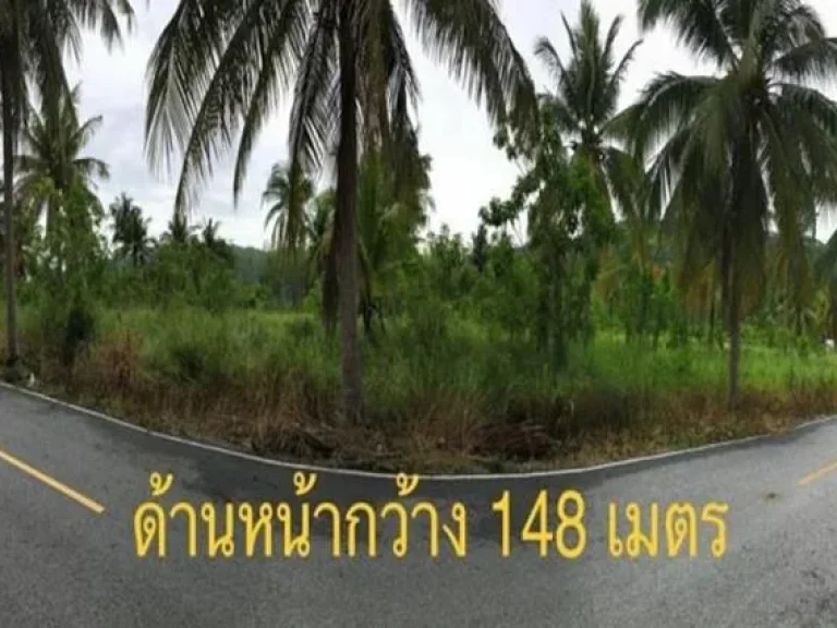 ขายที่ดินเปล่า5ไร่ บางพระศรีราชา