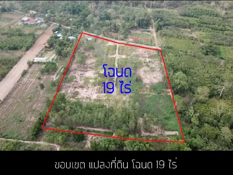 ที่ดิน 19 ไร่ วิวเขาใหญ่ เชิญชม vdo ภาพทางอากาศ ยาว2นาที