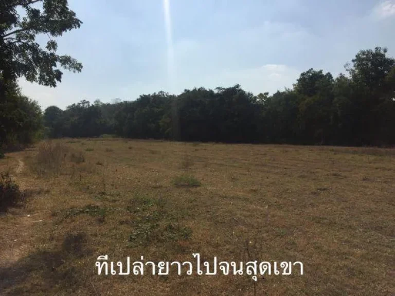 ขายที่ดินติดภูเขา 26ไร่ ตชำแระ อโพธาราม จราชบุรี พร้อมบ้านใหม่ 10ล้าน