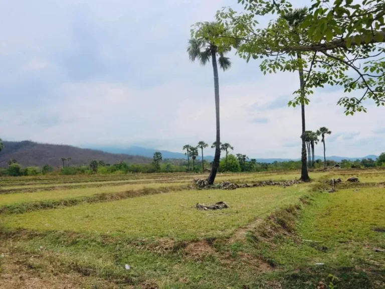 ขายที่ดินบรรยากาศดี วิว 180 องศาจอมทองราคาถูก