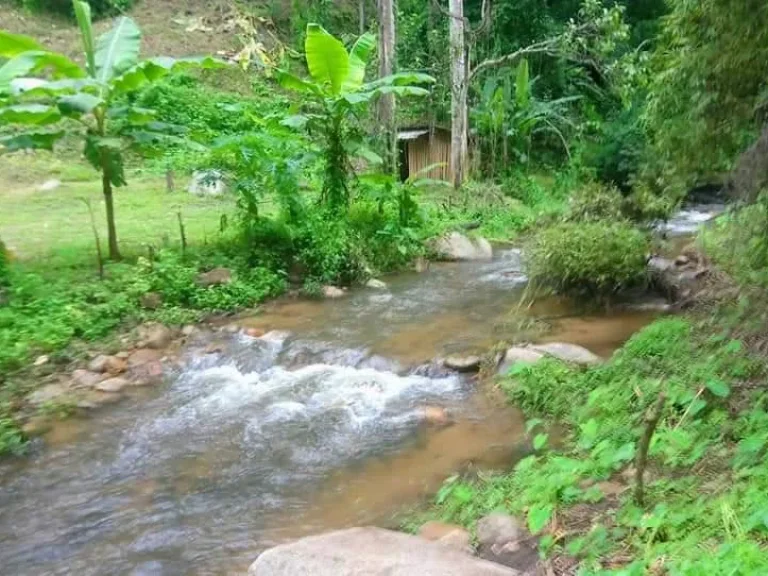 ขายที่สวนติดธารน้ำ ดอยสะเก็ต ราคาถูก