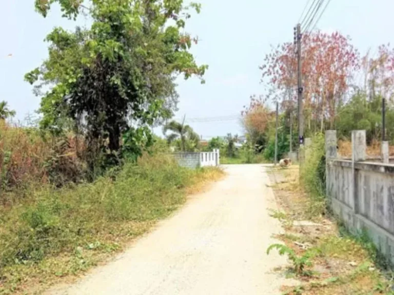 ขายที่ดินบ้านมอญ เรือนแพ 1 สันกลางราคาถูก