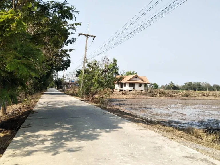 ขายที่ดินเปล่าจังหวัดปทุมธานี