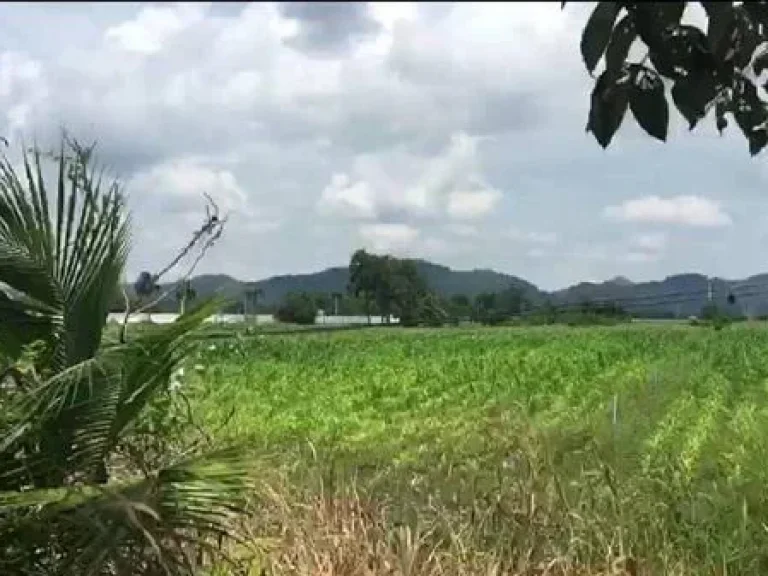 ขายที่ดินเปล่า ซ5 อพระพุทธบาท สระบุรี ใกล้ฟาร์มประนอม 05325