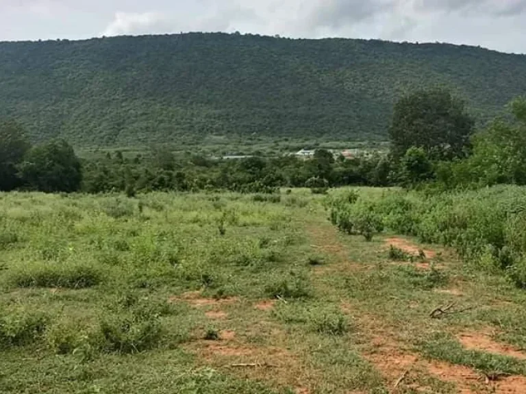 ที่ดิน บ้านซับศรีจันทร์