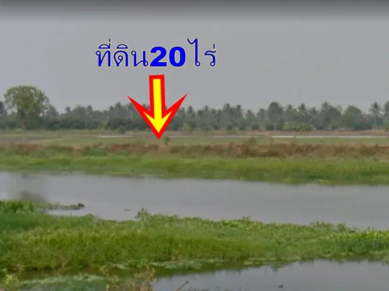 ขายที่ดิน20 ไร่ ติดคลองบางสองร้อย ใกล้วัดศรีประชุมชน บางโตนด โพธาราม ราชบุรี น้ำตลอดปี เหมาะ ทำสวนเกษตร ปลูกมะพร้าว