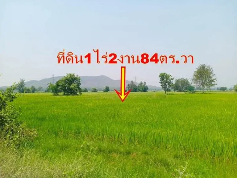 ขายที่ดิน1ไร่2งาน84ตรวา ติดคลองชลประทานใหญ่ ใกล้เขาสวนหลวง ตำบลเกาะพลับพลา อำเภอเมืองราชบุรี เหมาะทำการเกษตรพอเพียง