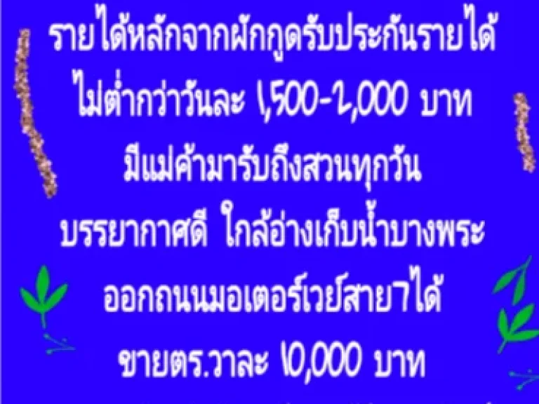 สวนเกษตร ติดลำธารน้ำ 684 ตรวา ใกล้อ่างเก็บน้ำบางพระ