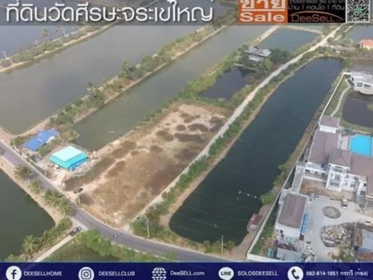 ขายที่บางเสาธง ซวัดใหญ่ 588ตรวๆละ12500บ หน้ากว้าง