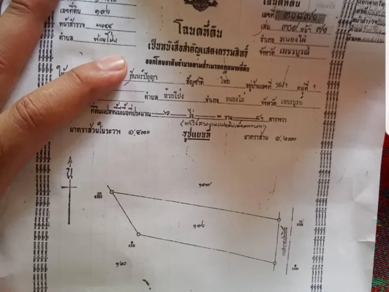 ขายที่ดินโฉนดพร้อมแปลงป่าสักทองยกแปลงต้นสักทองอายุ 20 ปี