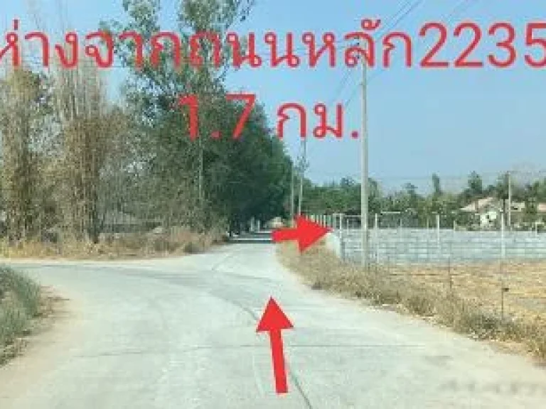 ที่ดินแปลงเล็กแบ่งขาย1-2งาน ปากช่อง