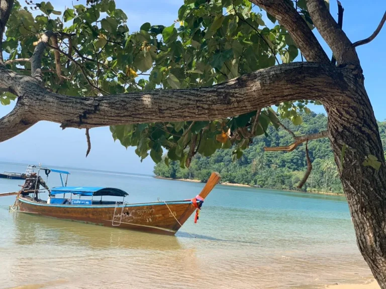 ที่ดินบนเกาะปู จกระบี่ ชายหาดส่วนตัว ที่เนินตีนเขา น้ำไม่ท่วม ลดราคาหนักมาก