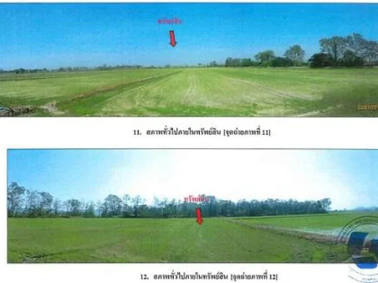 ที่ดินเปล่า เหมาะกับการทำการเกษตร หรือ รีสอร์ท